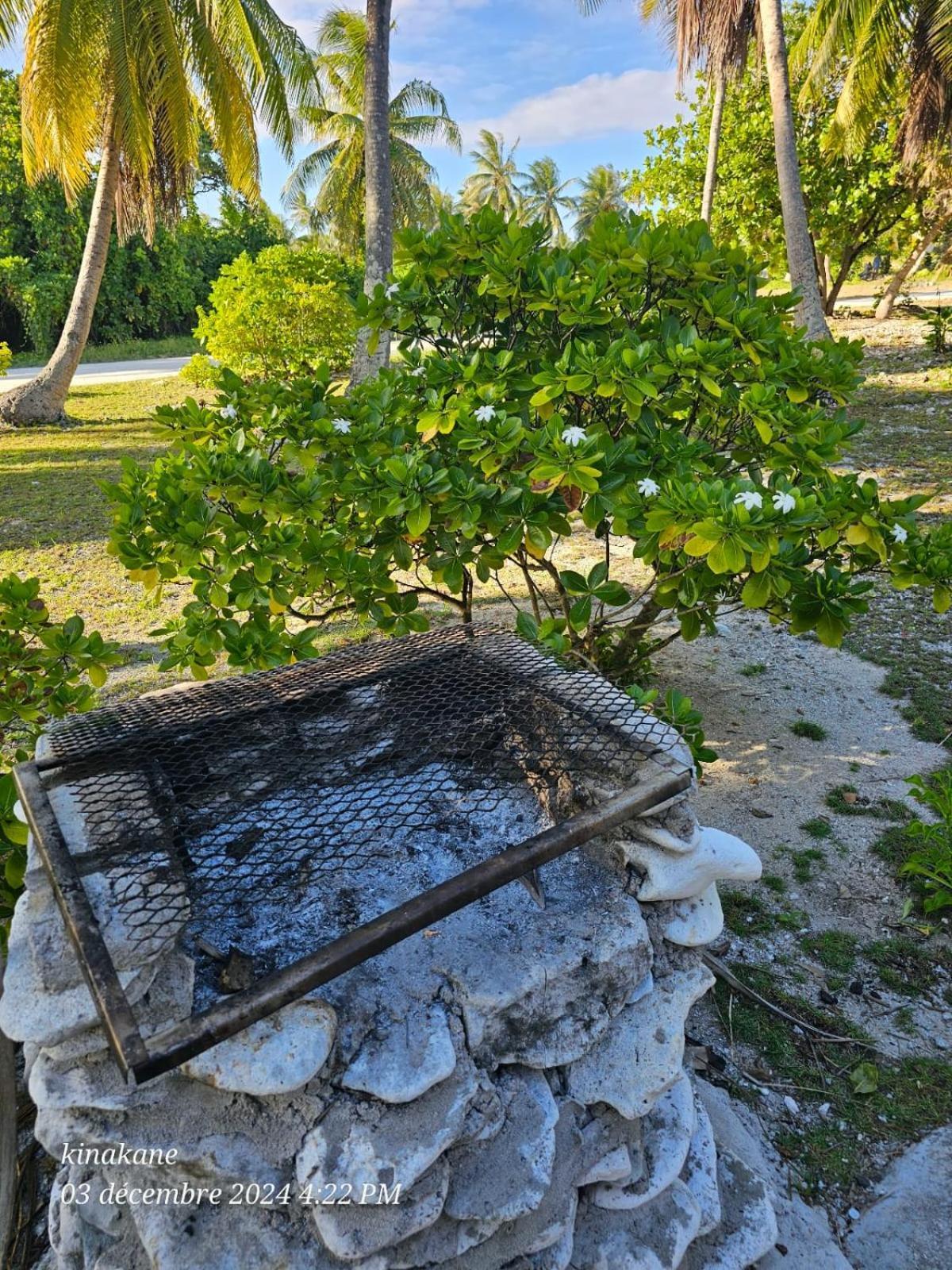 Kinakamo Lodge Rangiroa Tiputa Exterior foto